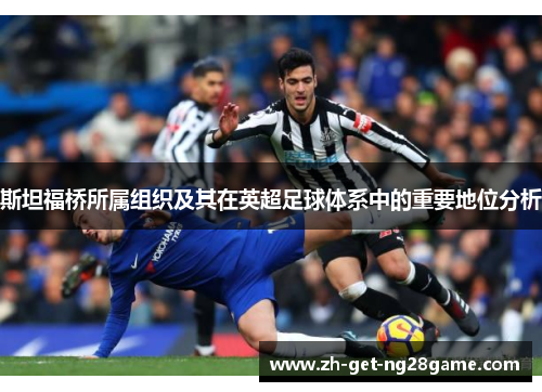 斯坦福桥所属组织及其在英超足球体系中的重要地位分析 斯坦福桥所属组织及其在英超足球体系中的重要地位分析