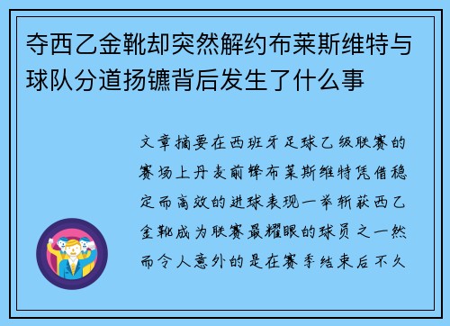 夺西乙金靴却突然解约布莱斯维特与球队分道扬镳背后发生了什么事 夺西乙金靴却突然解约布莱斯维特与球队分道扬镳背后发生了什么事